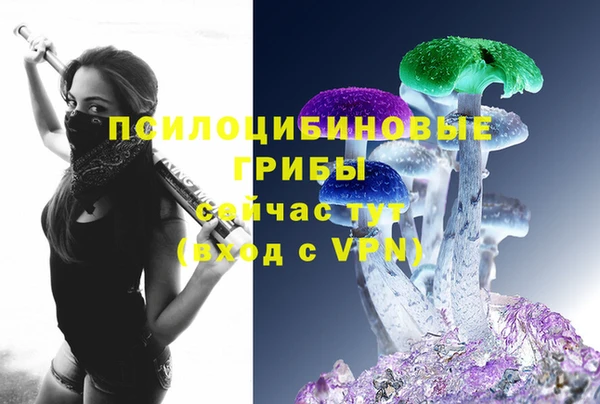 дурь Аркадак
