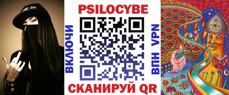 Галлюциногенные грибы Psilocybe Палласовка
